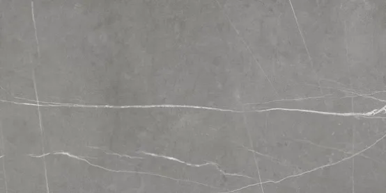 Керамогранит серый матовый под камень 0,8х59,5х119,2 см