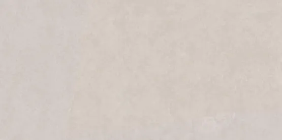 Керамогранит светло-серый матовый обрезной вид 1 под камень 0,9х60х119,5 см