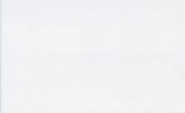 Керамогранит белый матовый под бетон 0,8х25х40 см